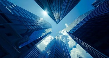 Real estate developer looks up at buildings in a city