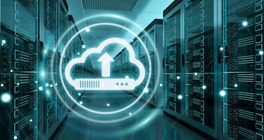 Virtual audits